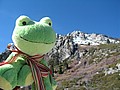 20070121_1542_350.JPG