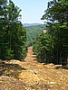 20070804_1225_001.JPG