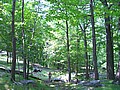 20070804_1230_002.JPG