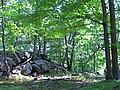 20070804_1230_003.JPG