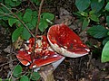 20070804_1304_015.JPG