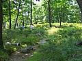 20070804_1315_016.JPG