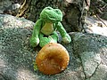 20070804_1345_020.JPG