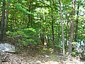 20070804_1445_043.JPG