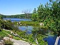 20070804_1533_044.JPG