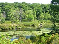 20070804_1537_045.JPG
