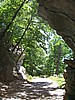 20070714_1159_006.JPG