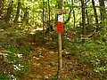 20070714_1254_012.JPG