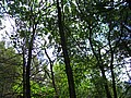20070714_1320_038.JPG