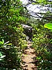 20070714_1344_048.JPG