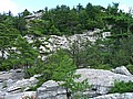 20070714_1353_059.JPG