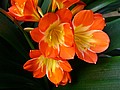 20070714_1508_120.JPG