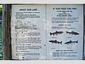 20070714_1532_134.JPG