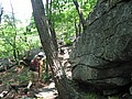 20070609_1109_007.JPG