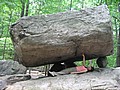 20070609_1200_025.JPG