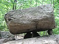 20070609_1201_029.JPG