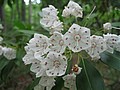 20070609_1219_054.JPG