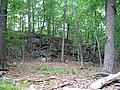 20070609_1233_056.JPG
