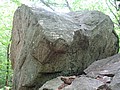 20070609_1313_060.JPG