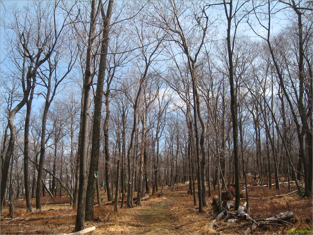 20070414_1033_011.JPG