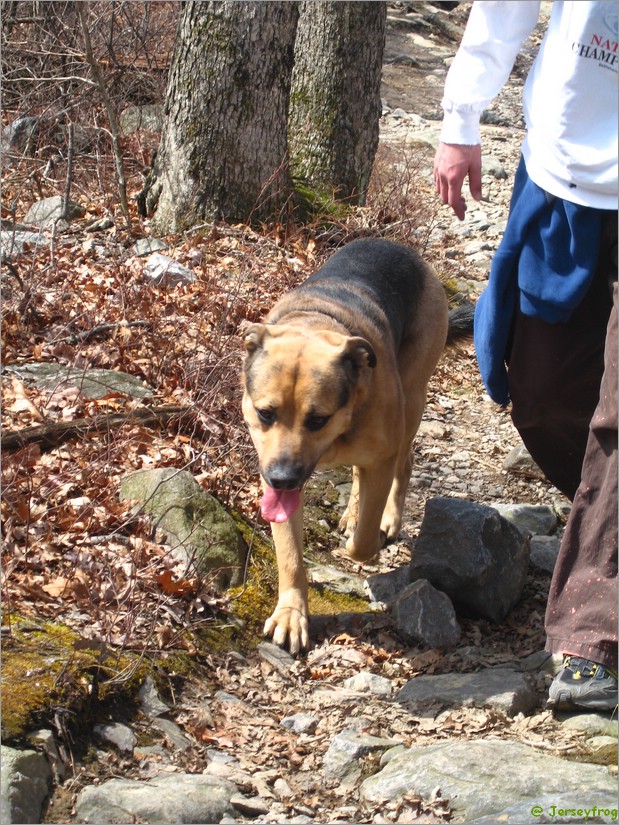 20070414_1056_019.JPG