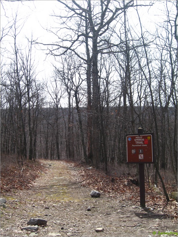 20070414_1107_024.JPG