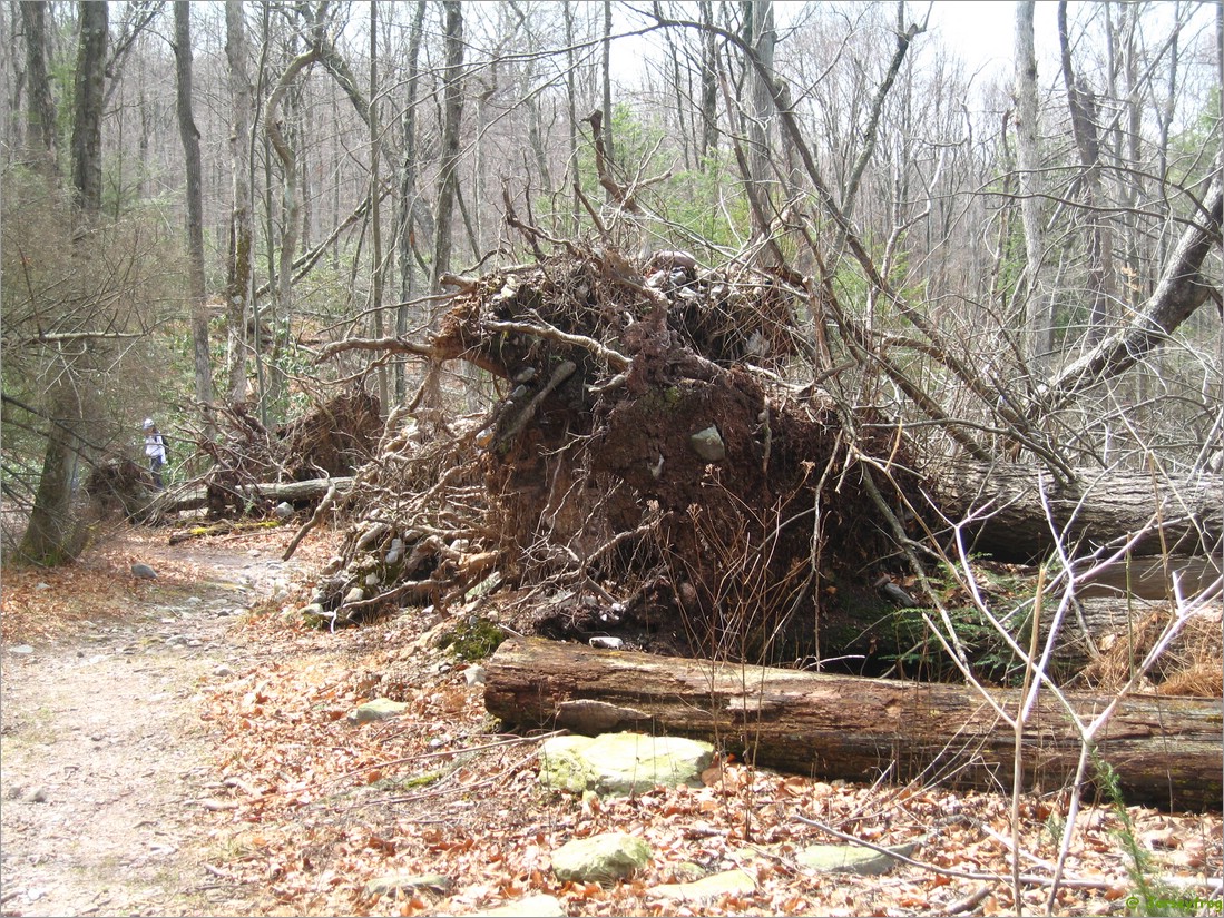 20070414_1153_037.JPG