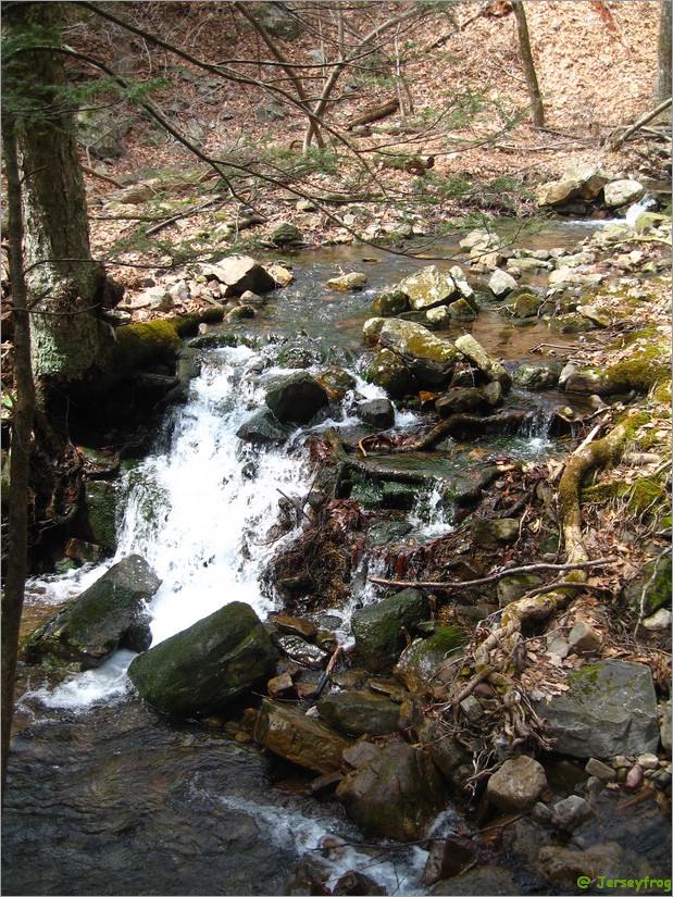 20070414_1207_043.JPG