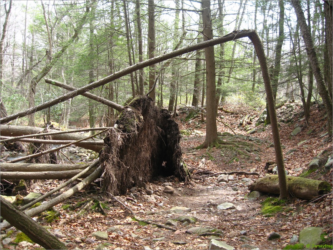 20070414_1208_044.JPG