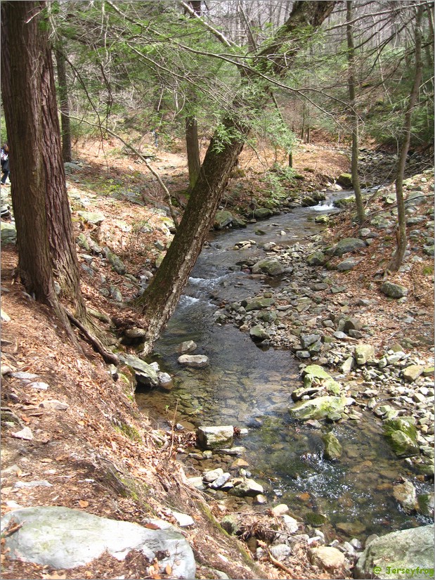 20070414_1220_052.JPG