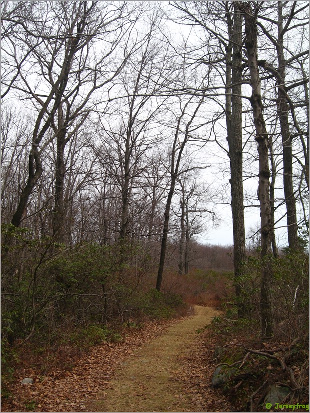 20070414_1313_063.JPG