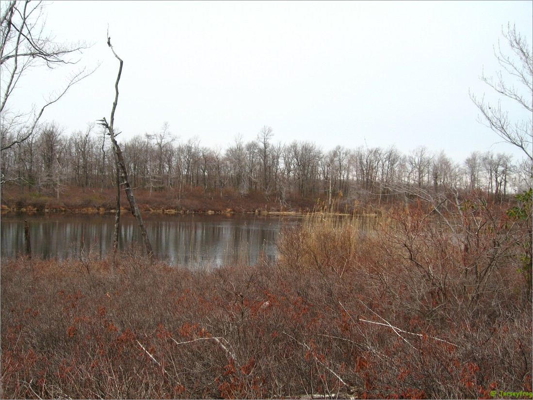 20070414_1324_065.JPG