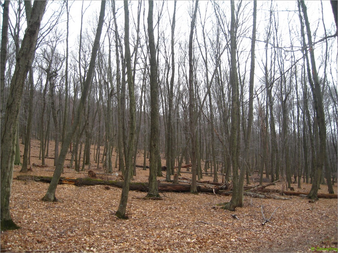 20070414_1457_085.JPG