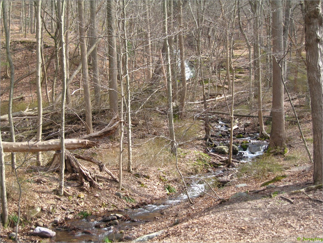 20070414_1512_088.JPG