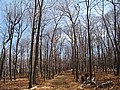20070414_1033_011.JPG