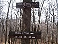 20070414_1035_016.JPG