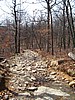 20070414_1056_020.JPG