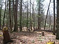 20070414_1154_038.JPG