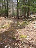 20070414_1158_039.JPG