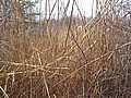 20070414_1345_071.JPG