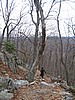 20070414_1446_081.JPG