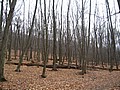 20070414_1457_085.JPG