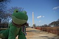 IMG_0013.JPG