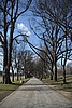 IMG_0068.JPG
