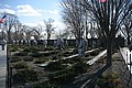 IMG_0106.JPG
