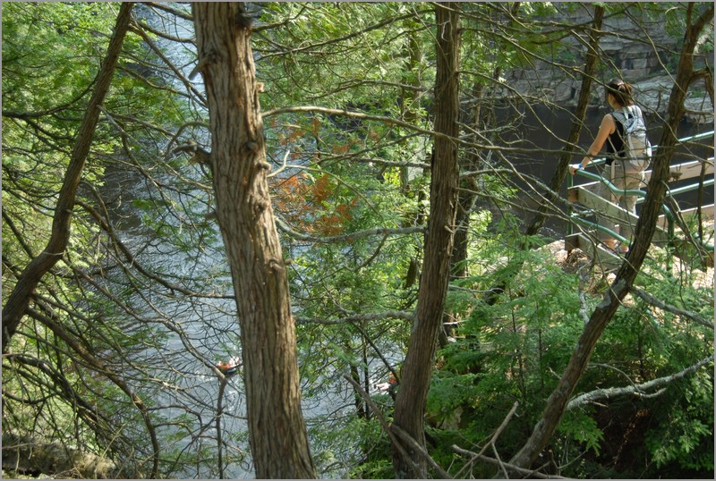 DSC_4257.JPG