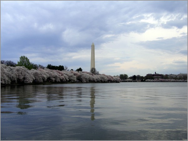 IMG_3002.jpg