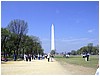 IMG_2918.jpg