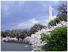IMG_2942.jpg