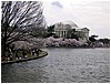 IMG_2943.jpg